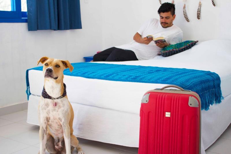 Blatha Tropical Rooms Holbox Екстер'єр фото